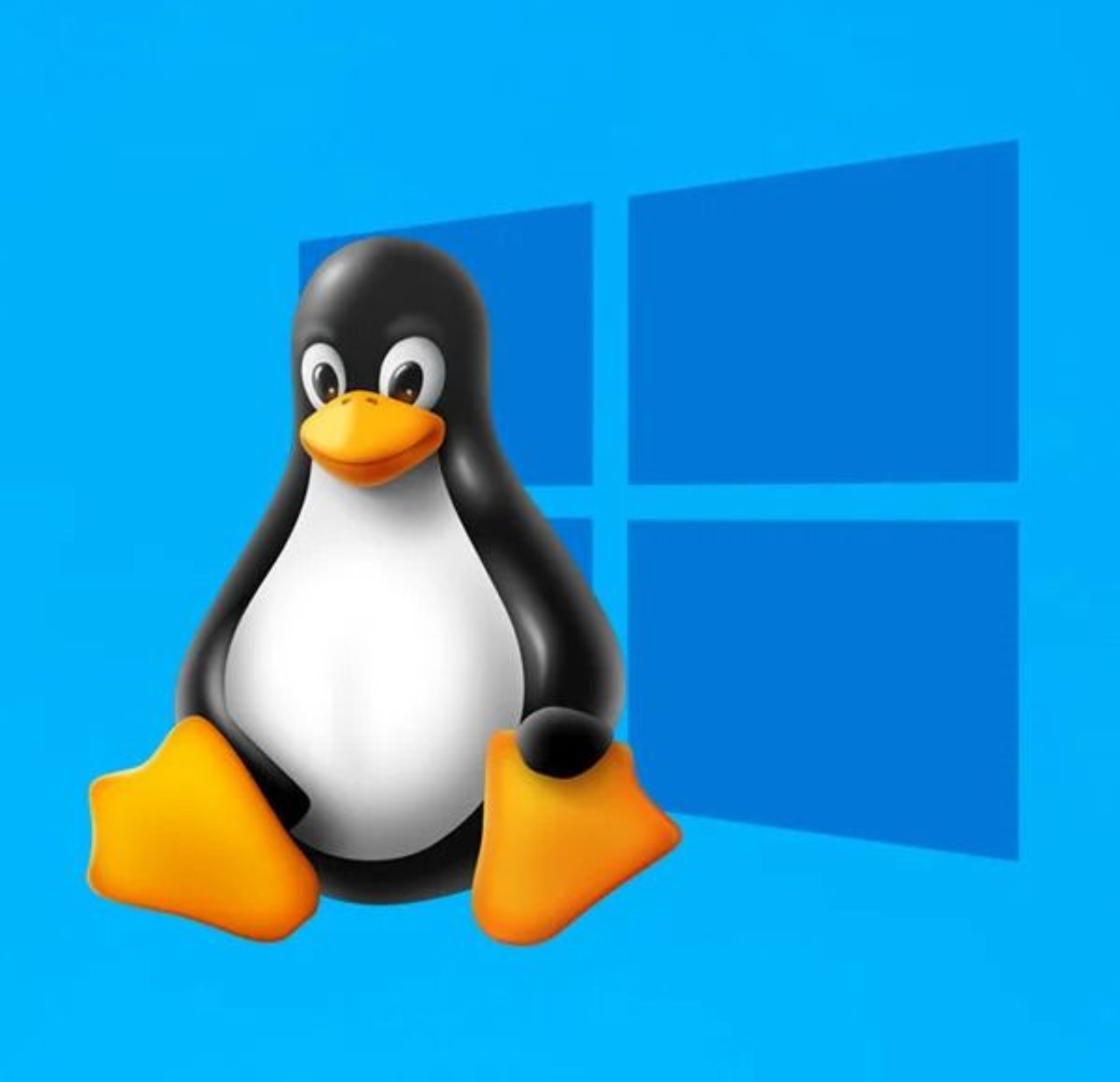 Sistemas Operativos (Windows e Linux)